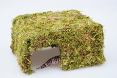 Natural Reptile Moss Hide Cave Leopard Gecko Tank Accessory