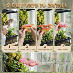 Mushroom Reptile Ledge| Tree Frog Terrarium Tank Accessories, Crested Gecko Tank
