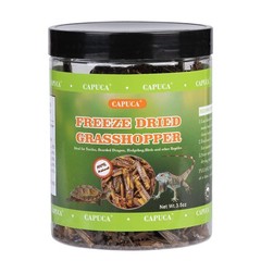 Dried Grasshoppers for Reptiles – All Natural High Protein Insect Treats for …