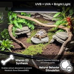 10.0 UVB Reptile Light Fixture Kit – 12″ Fluorescent Lamp for Bearded Dragons, T