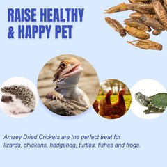 1 lb Dried Crickets Natural Insect Food for Reptiles Birds Chicken Fish Hamsters