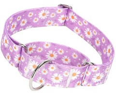 1.5 Inch Martingale Dog Collar – No Pull Daisy Design Nylon Training Collar f…