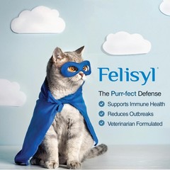 Felisyl L-Lysine Gel for Cats & Kittens (5oz) – Immune System, 1 Pack, Paste