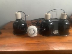 Zoo Med FBA_MP-13170000AN Mini Deep Dome Clamp Lamp