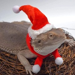 Bearded Dragon Santa Hat and Scarf Costume for Lizard Reptile Ferret Xmas Hat