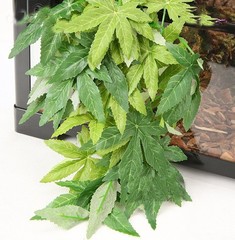 Lightweight 12-Inch Silk Terrarium Plant – Ideal for All Reptiles & Amphibians