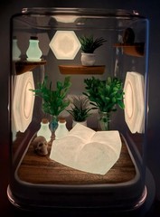 Coral Cove Glow Jumping Spider Enclosure – Stylish Pet House for Your Arachnid