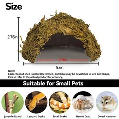 Green Coconut Leopard Gecko Hide Reptile Cave Tank Accessory