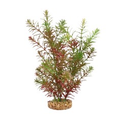 Fluval Aqualife Green Myriophyllum Plant Select Size:: 10 inch