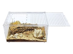 Herpcult Acrylic Reptile Terrarium Gecko Spider Vivarium Enclosure Large Flat
