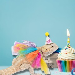 Wodison 15Pcs Bearded Dragon Hats & Lizard Adjustable Tutu Small, Multicolor