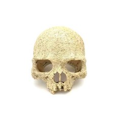 Reptile Terrarium Vivarium Aquarium Ornament Hide Cave Animal Skull Decor NEW