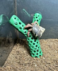 Hermit Crab Decor Climbing Toy Hermit Crab Ladder Hermit Crab Tank Decor Toys