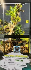 Exo Terra Pro Paludarium – Mini X-Tall – 12” x 12 ”x 24”- Bottom Drain