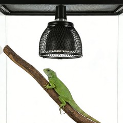 Black Heat Lamp Cage for Reptile Terrarium with Anti Scald Lamp Mesh Cover