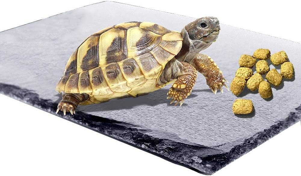 Reptile Basking Platform (7.9 x 11.8 inches), Natural Rock Plate Turtle Food Bow