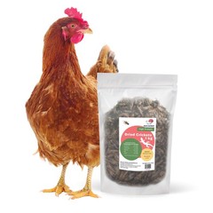 Dried Crickets 2.2 Lbs 1 Kg For Reptiles Birds Small Pets Natural Insect
