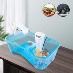 Modern Turtle Aquarium with Plant, Light & Filter – Ideal for Small Pets