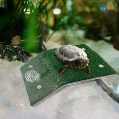 KVZVK Lawn Basking Platform for Turtle,Turtle Resting Simulated Grass 1