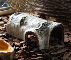 Artificial Birch Log Hide Reptile Shelter Leopard Gecko Young Bearded Dragon …