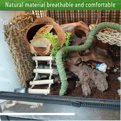 Crested Gecko Coconut Hide with Ladder Shell Natural,Reptile Coco Hut Cave Ha…