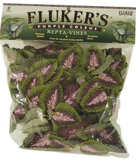 Fluker’s Purple Coleus Repta-Vines Green, Purple 1ea/6 ft