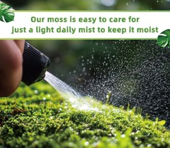 Live Moss for Terrarium Bedding & Reptile Enclosures
