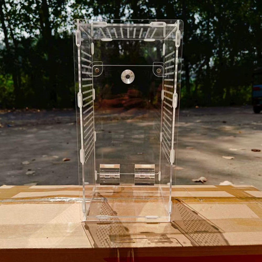 Acrylic Mantisese Terrarium Portable Landscaping Space Hatching Case Terrarium