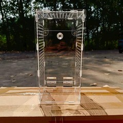 Acrylic Mantisese Terrarium Portable Landscaping Space Hatching Case Terrarium