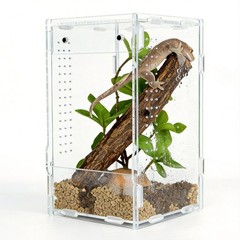 Acrylic Reptile Tank 5x5x8 – Terrarium for Crested Gecko, Lizards, Snakes & Spid