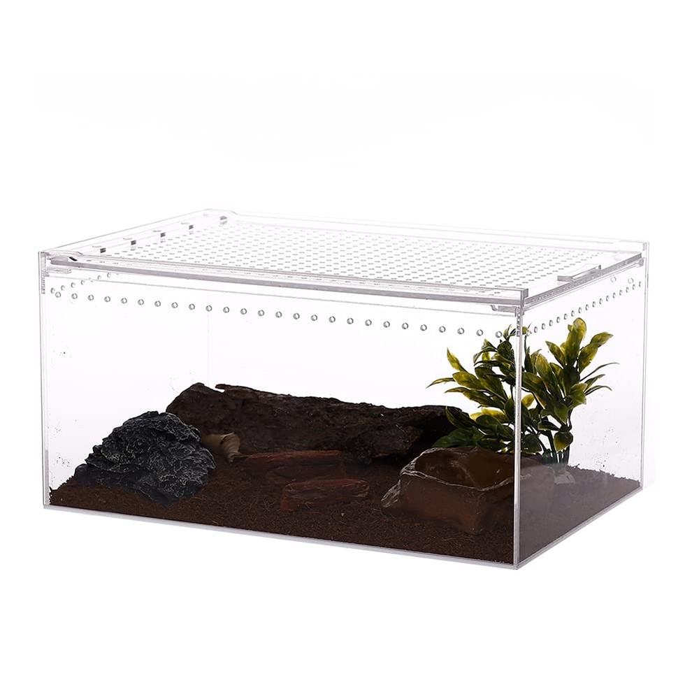 NANEEZOO Magnetic Large Enclosure 2.5 Gallon 12 x 8 x 6 Inch One size, Clear