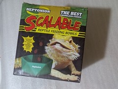 New CHAMELEON FEEDING BOWL Bugs Bar Iron Mesh Hook Hang NEPTONION Reptile Feeder