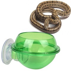 1Pcs Green ABS Durable Lizard Feeding Bowl with Suction Cup for Reptiles