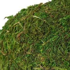 Mossy Caves, Artificial Green Moss Caves Hide for Pet Reptile Frogs and Snakes,