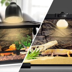100W Reptile Heat Lamp Bulbs – 2 Pack UVA Basking Light for Bearded Dragons, Liz