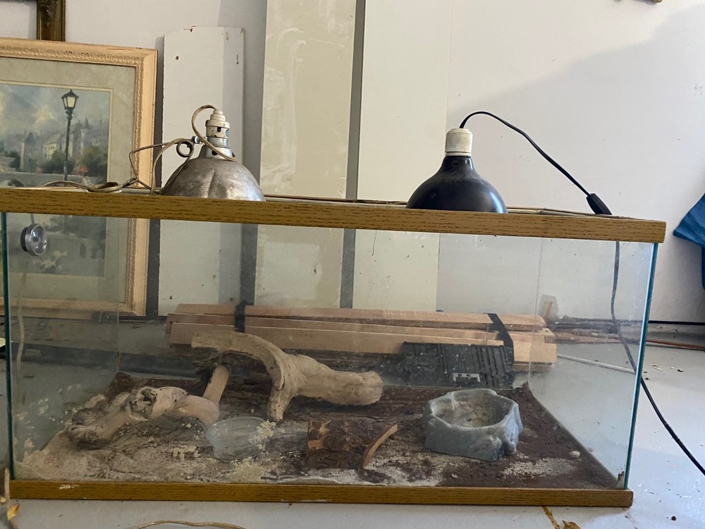 Large Reptile terranium 36″ x 16.5″ x 17.5″ with heat lamps & accessories