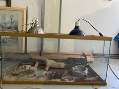 Large Reptile terranium 36″ x 16.5″ x 17.5″ with heat lamps & accessories