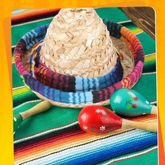2 Pack Bearded Dragon Sombrero Hats – Lizard Cinco De Mayo Small, 2
