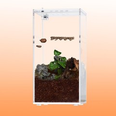 Jumping Spider Hideout and Feeding Dish, 3 in 1 Nut Shaped Hide Cave Sets for…