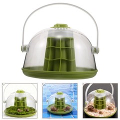 Snail Observation Warehouse Garden Accessories Breeding for Snails