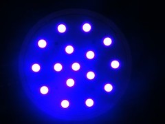 Dragon Lizard Reptile 16SMD Violet Basking Light Bulb 110V E27 USA Engineer Cert