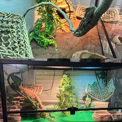 Reptile Hammock,Large Lizard Lounger, Bearded Dragon Tank Accessories Decoration