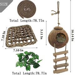 Cabaña de coco para gecko, madriguera de coco lagarto con escalera y accesorios