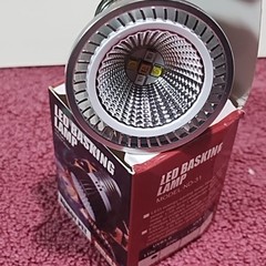 Basking Lamp Small 3 watt LED / 30 Watt Equivalent 2″ Iguana And Tortoise