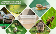 Reptile Feeding Box Animal Habitat Cage with Cover Terrarium Turtle Transport