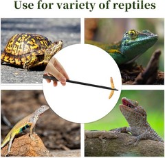 Reptile Feeding Tongs Stainless Steel Lizard Feeding Tongs Aquarium Straight