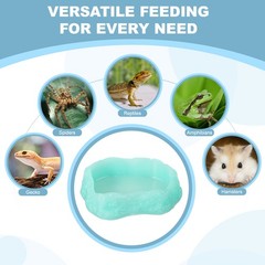 Reptile Food Bowl Worm Water Dish Ceramic Pet Bowl Small