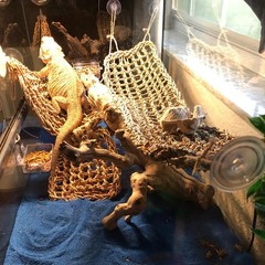 Reptile Hammock,Large Lizard Lounger, Bearded Dragon Tank Accessories Decoration