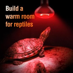 Reptile Heat Lamp 100W Day Night Combo Pack Turtle Lizard Snake Bulb
