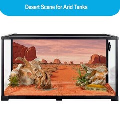 3 Pcs Reptile Tank Background, Bearded Dragon Tank Accessories, 36×18 inches …